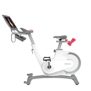 Купить Велотренажер Yesoul BV1-W PLUS в Багратионовске 